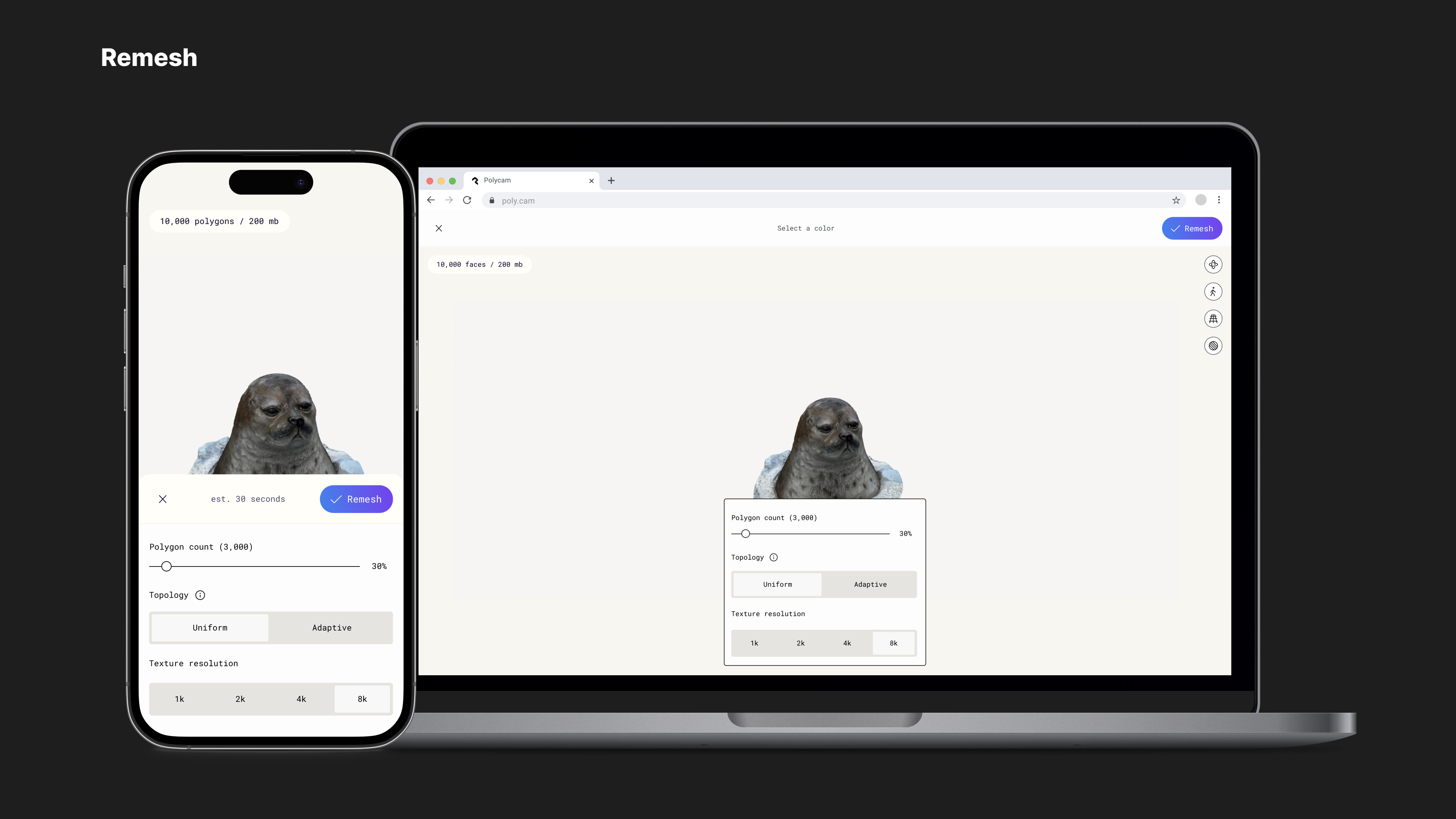 Remesh tool